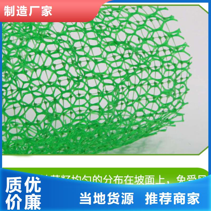 三维植被网紫铜止水片厂家实力才是硬道理