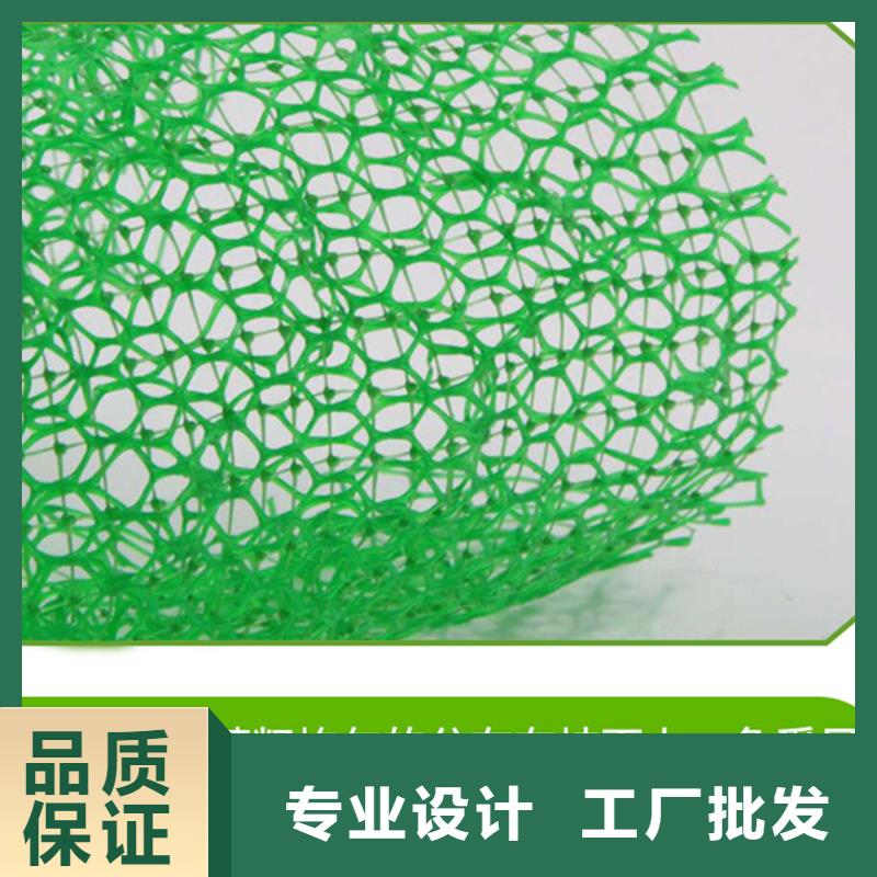 三维植被网土工格栅货源直供