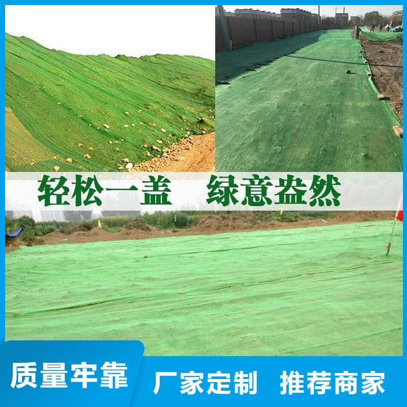 三维植被网紫铜止水片厂家实力才是硬道理