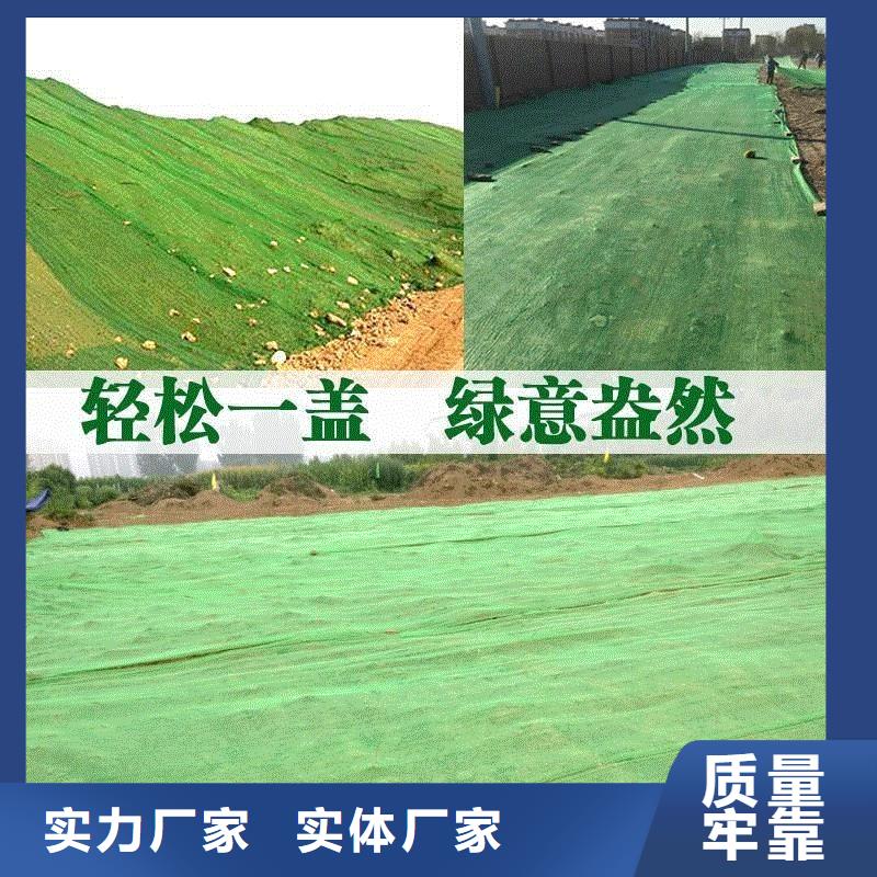 三维植被网-抗裂纤维厂家不断创新