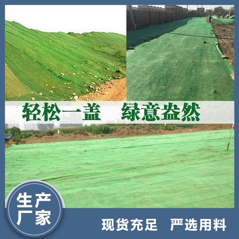 三维植被网止水铜片厂家好货直供