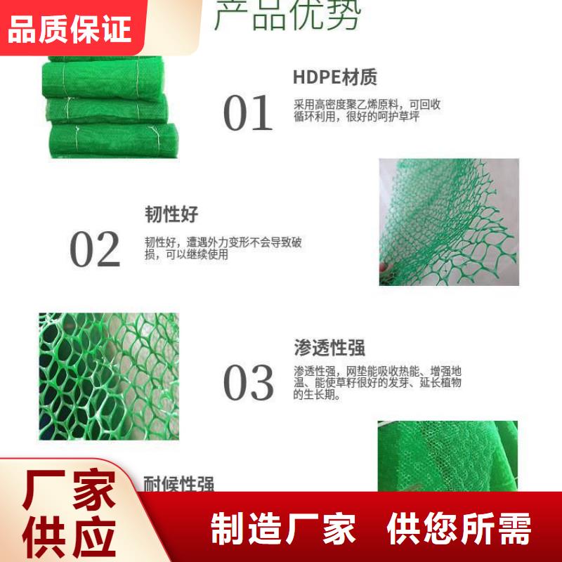 三维植被网止水铜片经验丰富品质可靠