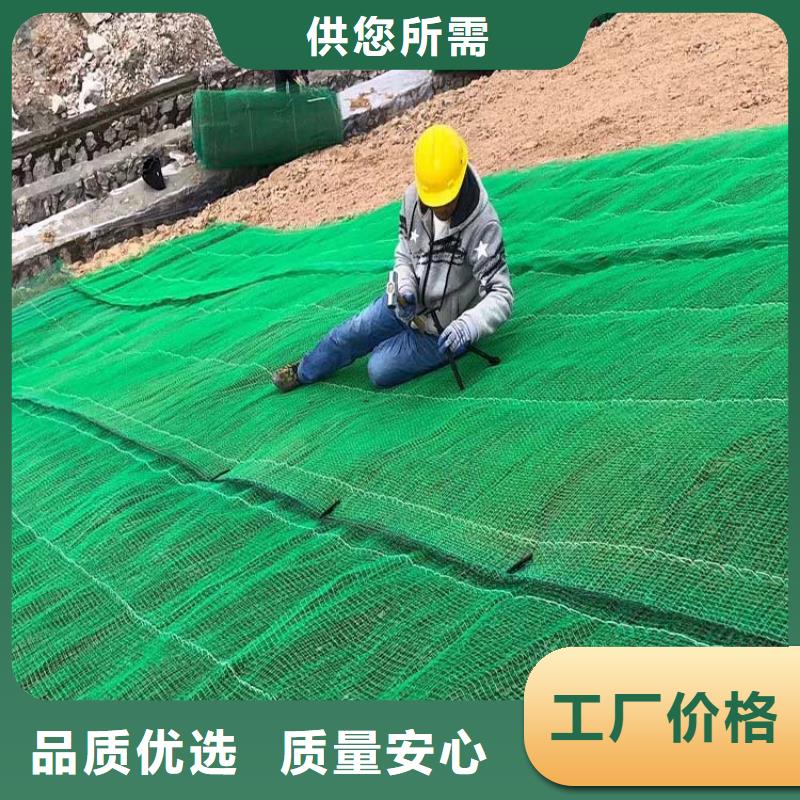 三维植被网-聚丙烯纤维生产厂家拥有核心技术优势
