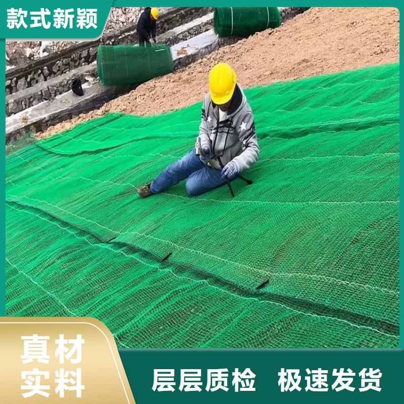 三维植被网土工膜真正的源头厂家