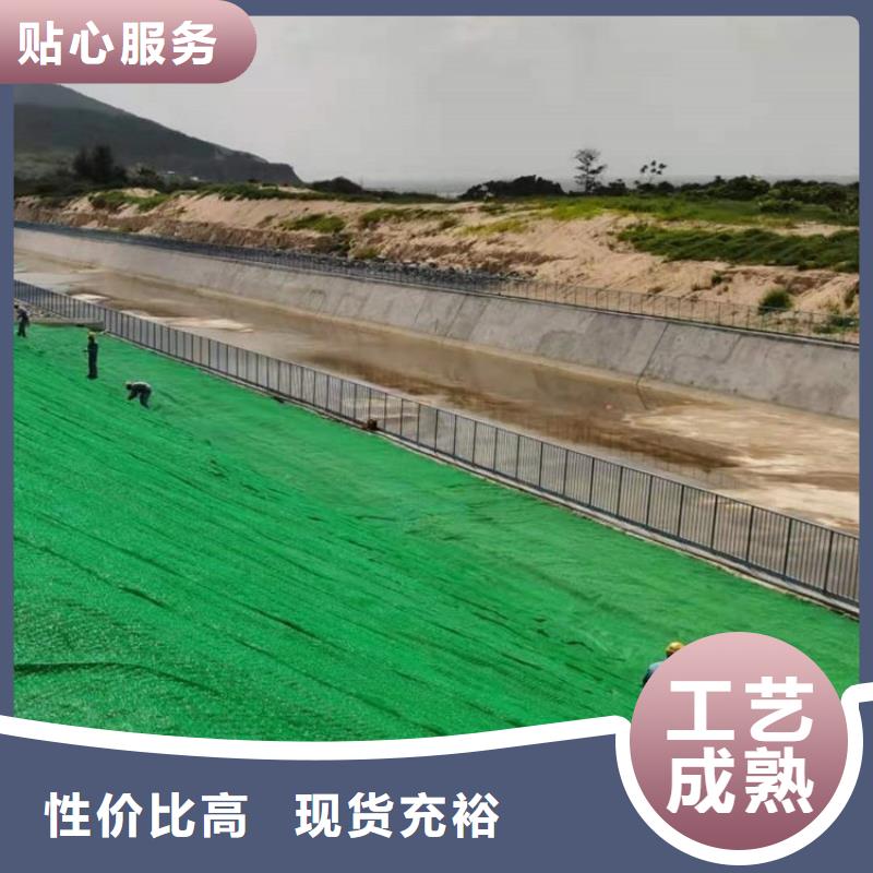 三维植被网,止水铜片批发供应