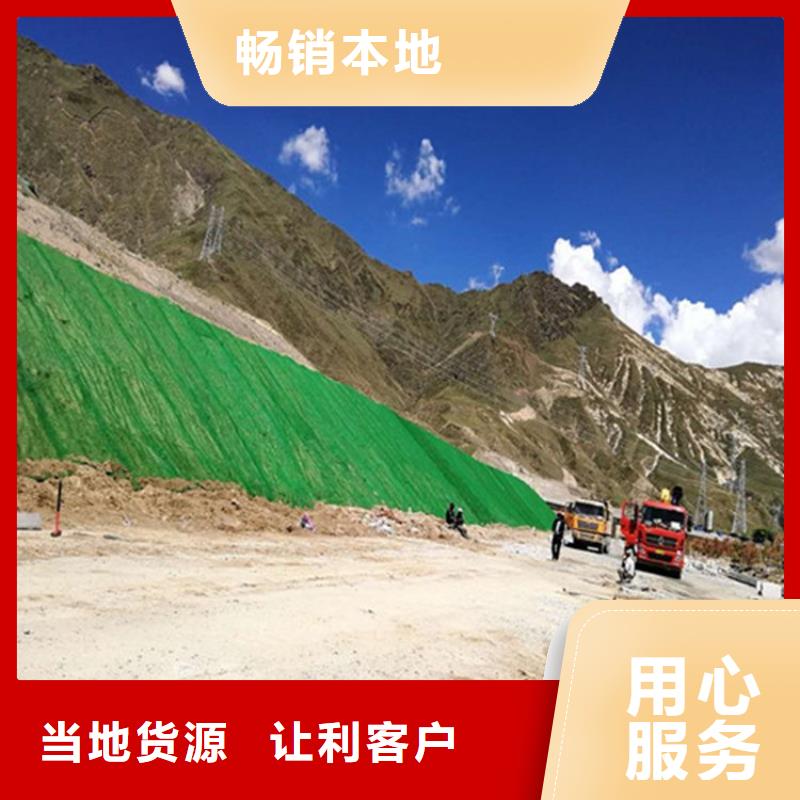 三维植被网铜片止水厂家本地厂家值得信赖