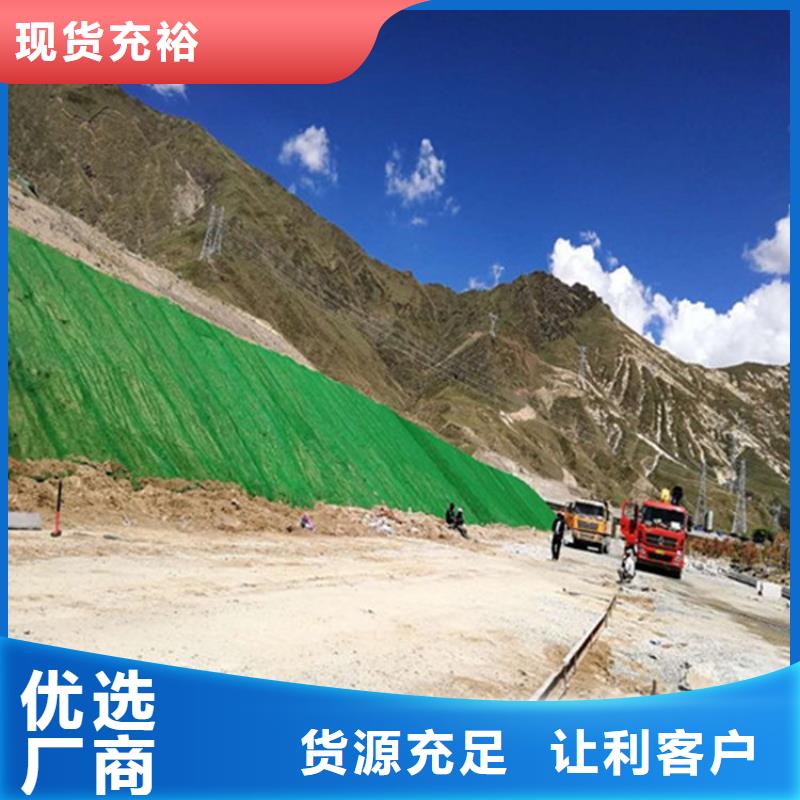 三维植被网沥青木丝板专业品质