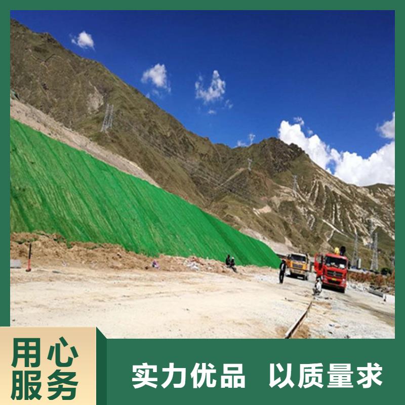 三维植被网止水铜片厂家批发供应