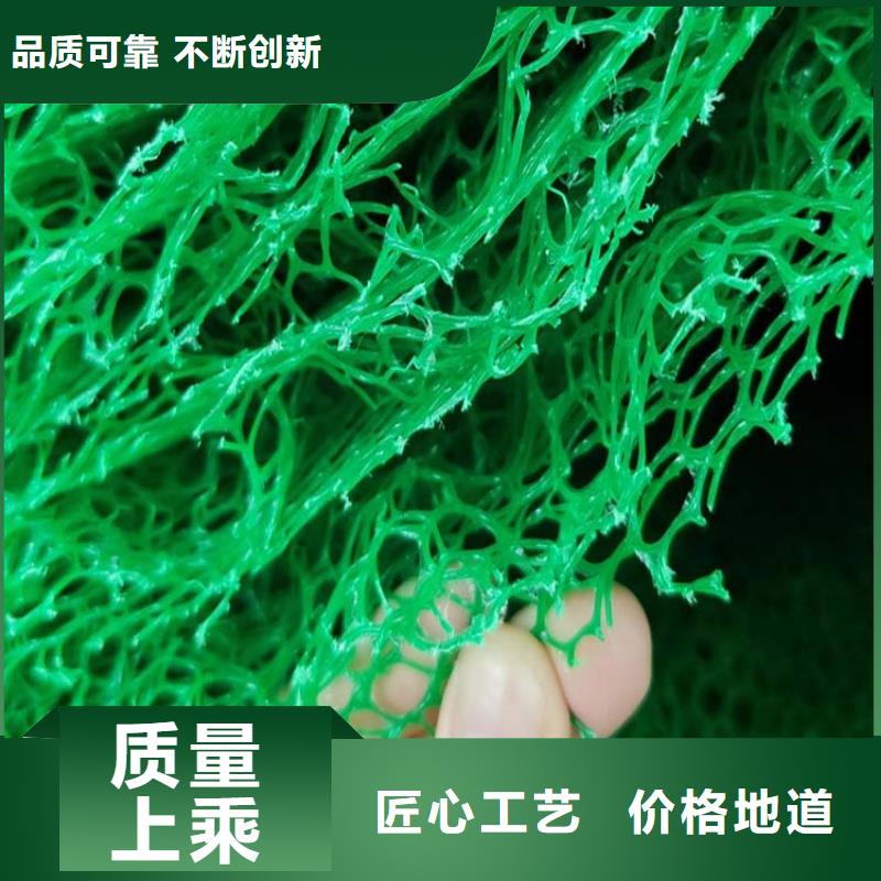 三维植被网止水铜片放心选购