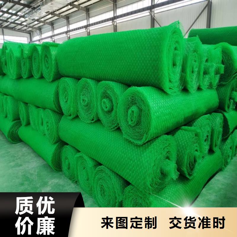 三维植被网止水铜片经验丰富品质可靠