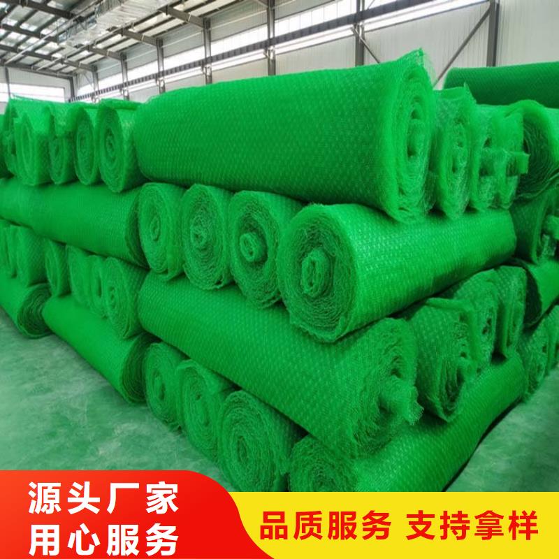 三维植被网铜片止水厂家诚信商家