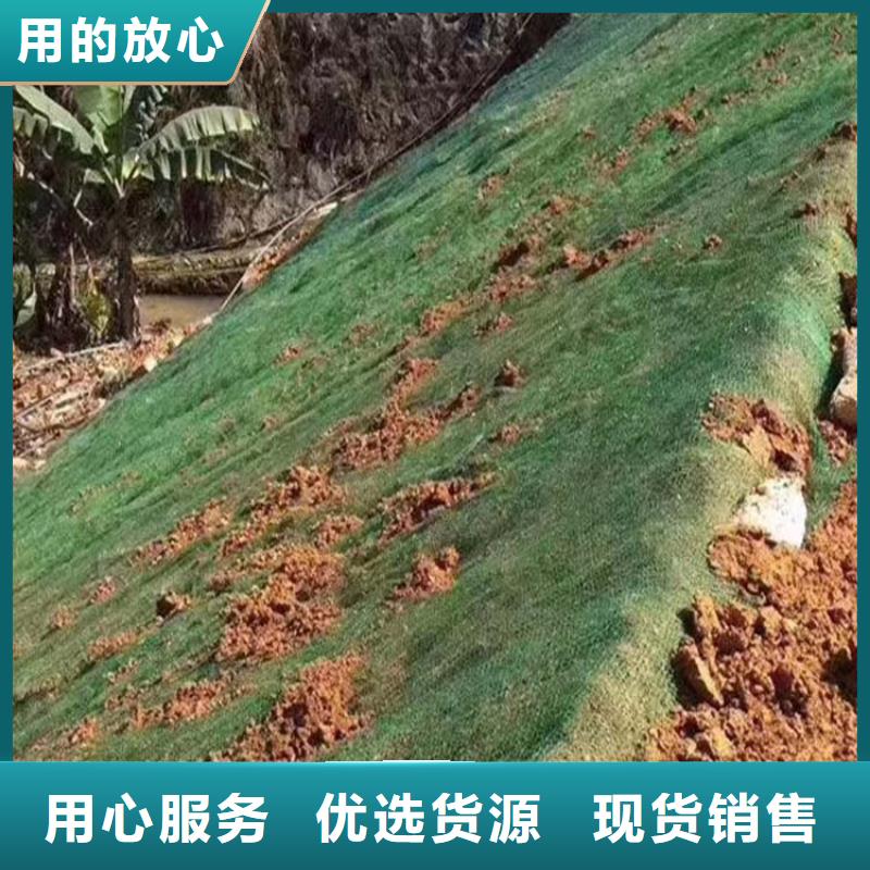三维植被网pp杜拉纤维现货销售