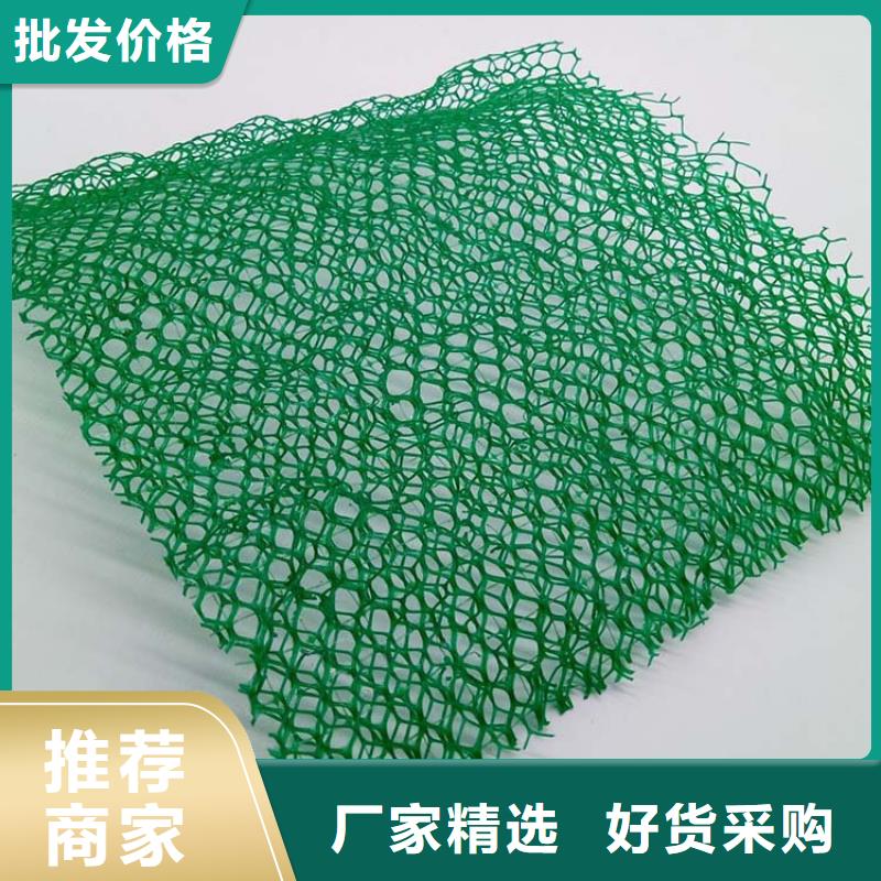 三维植被网pp杜拉纤维现货销售