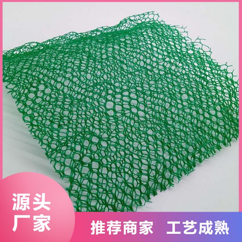 三维植被网铜片止水源头厂家