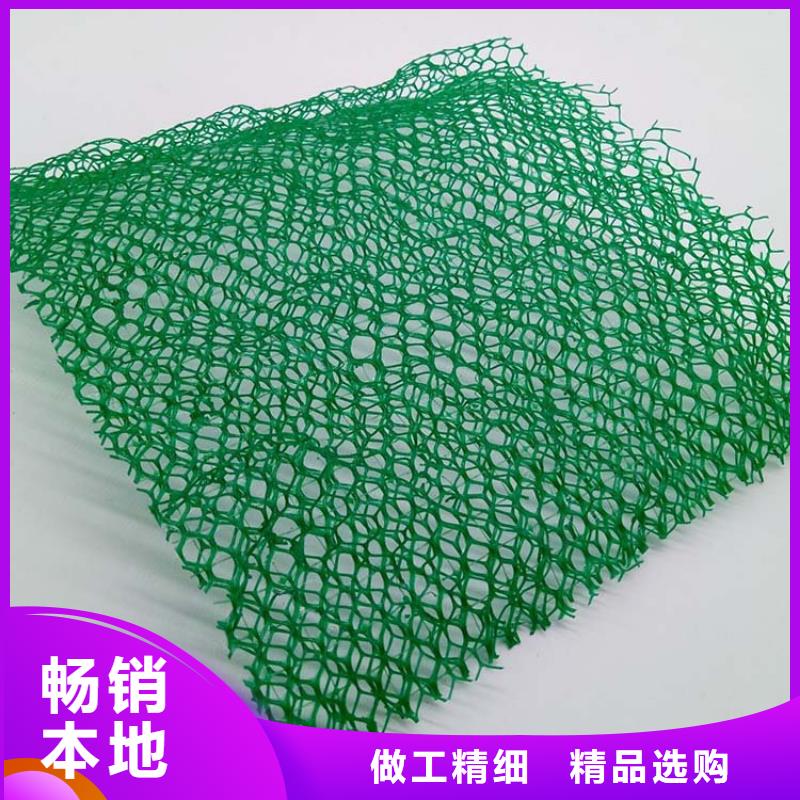 三维植被网聚丙烯腈纤维专注细节更放心