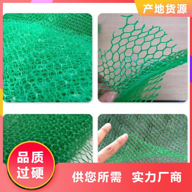 三维植被网铜片止水厂家本地厂家值得信赖