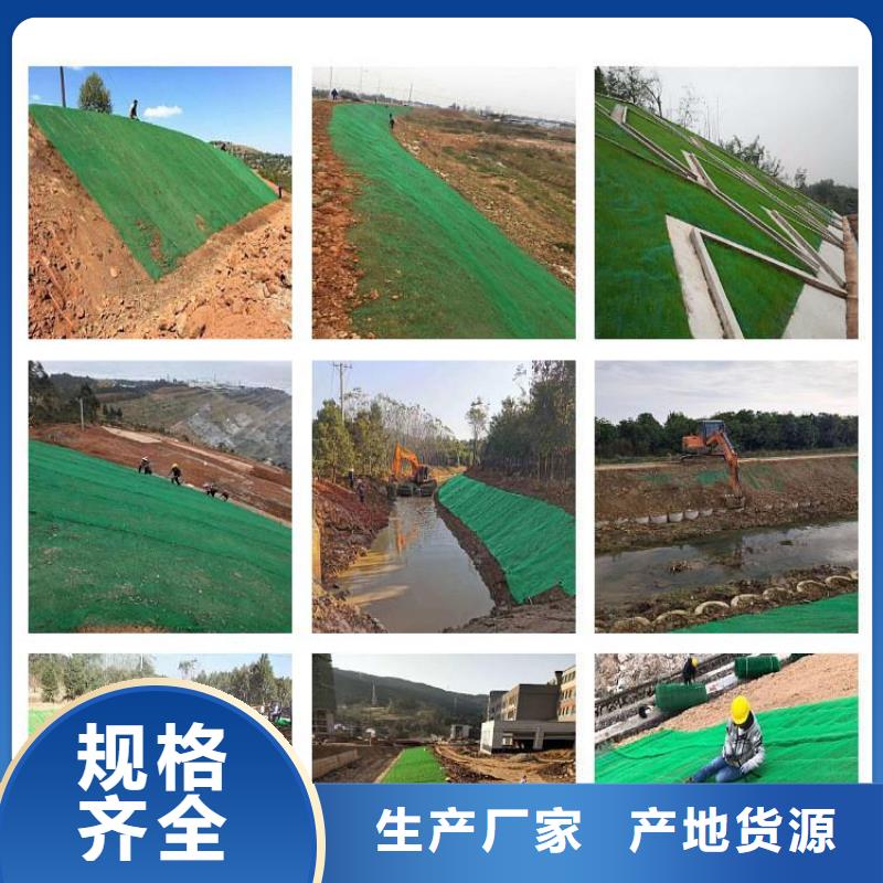 三维植被网铜止水放心选购