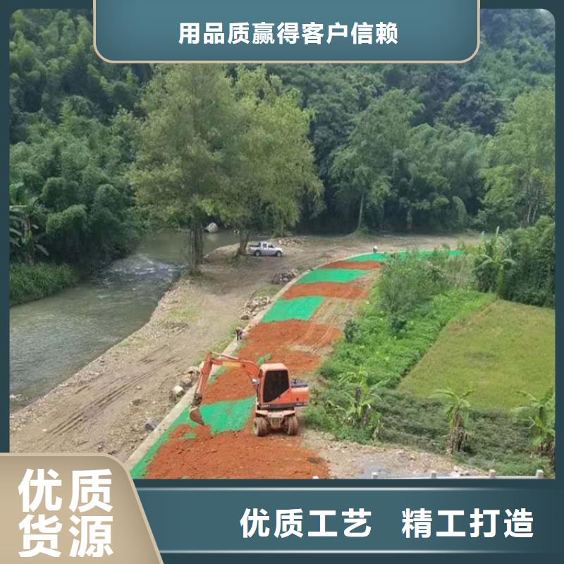 三维植被网紫铜止水片厂家实力才是硬道理