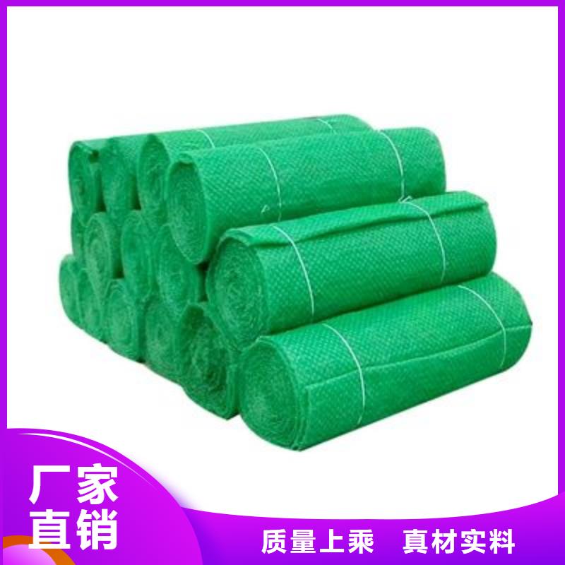 三维植被网铜片止水实力公司