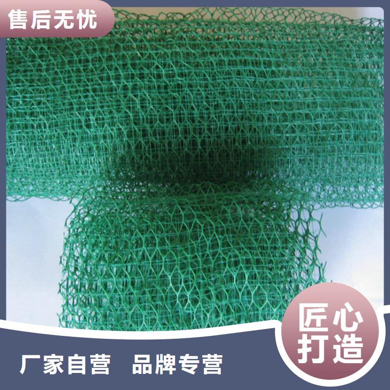 三维植被网止水铜片实力大厂家
