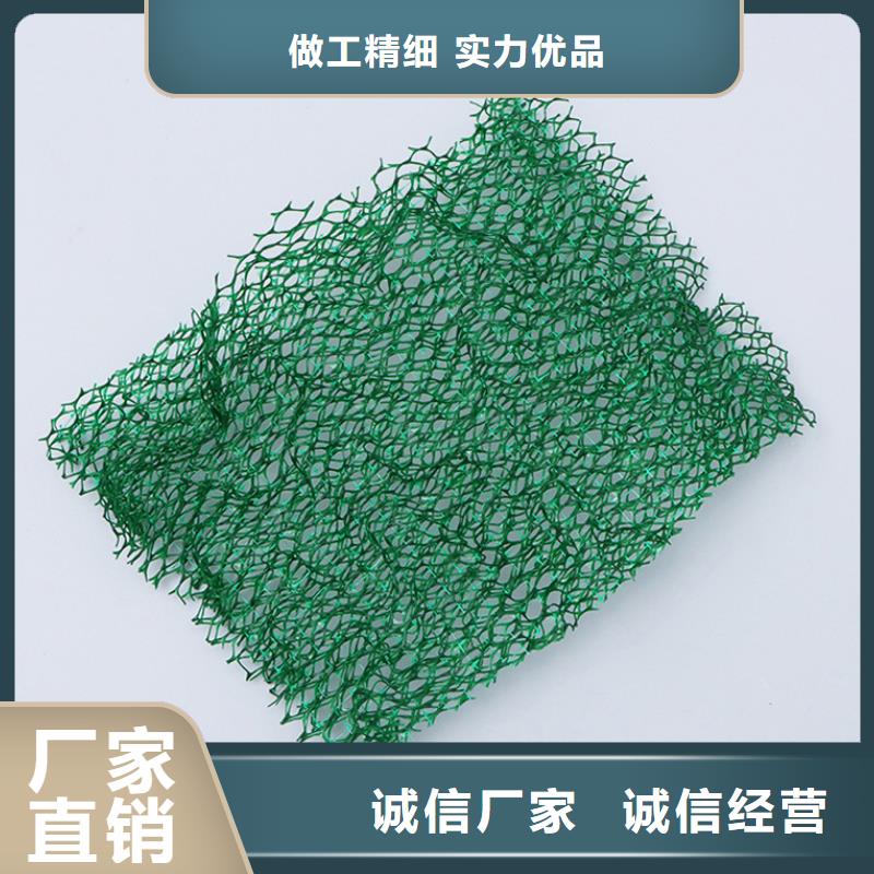 三维植被网土工席垫专业信赖厂家