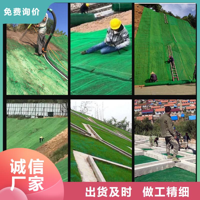 三维植被网土工膜真正的源头厂家