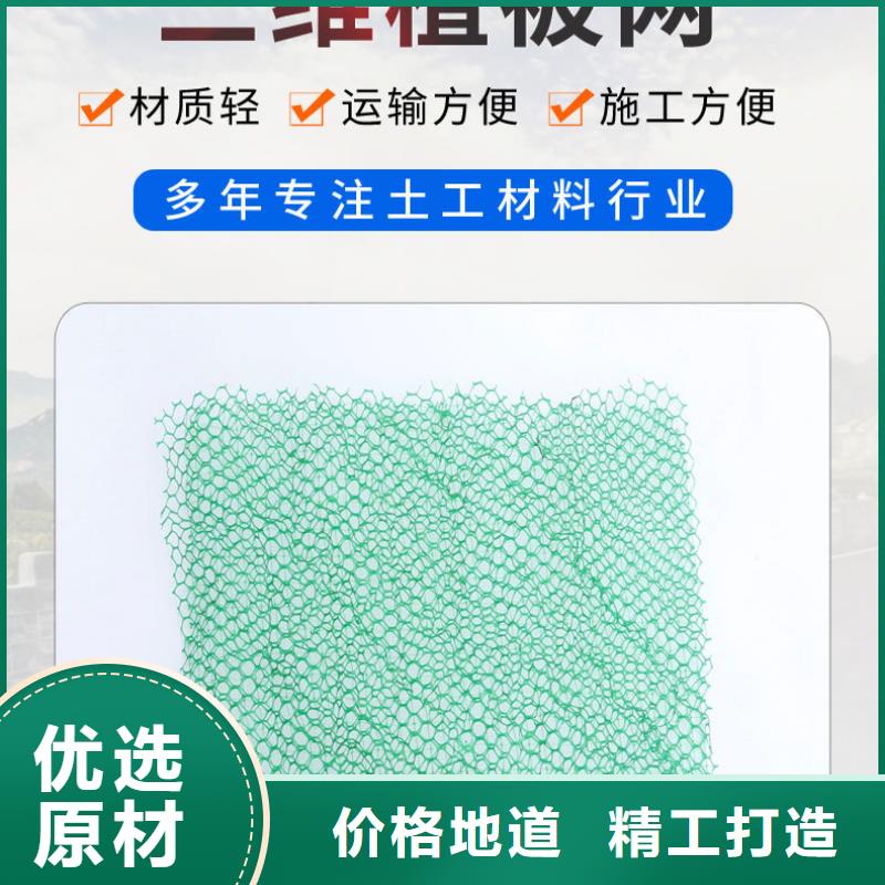 三维植被网【土工席垫】一手货源
