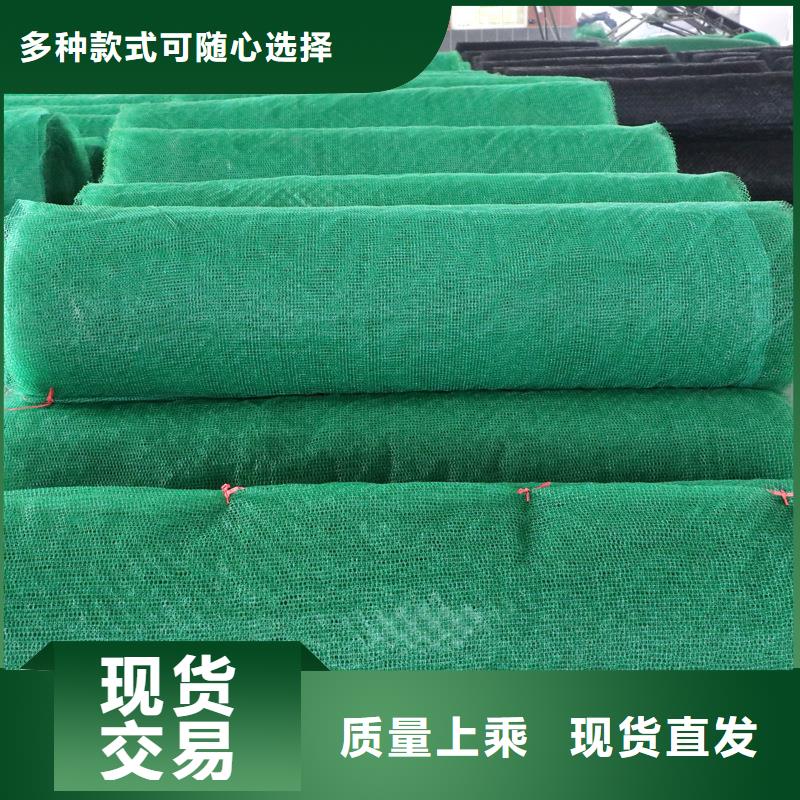 三维植被网铜片止水源头厂家