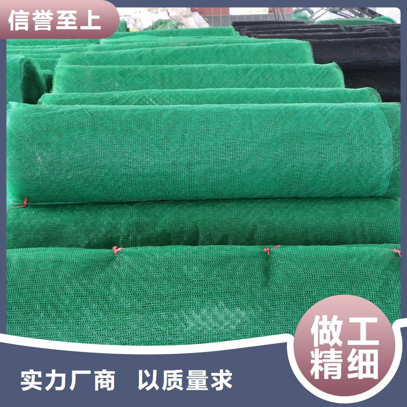 三维植被网铜止水生产厂家按需定做