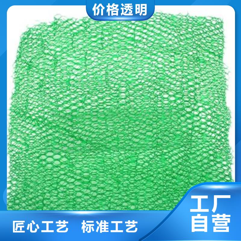 【三维植被网】土工膜厂家品控严格