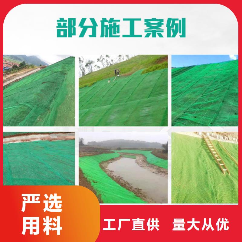 【三维植被网】,沥青麻丝板现货