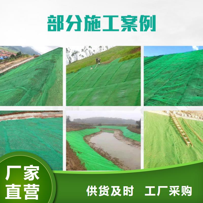 三维植被网止水铜片厂家批发供应
