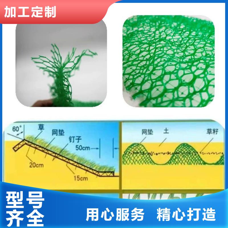 三维植被网铜止水海量库存