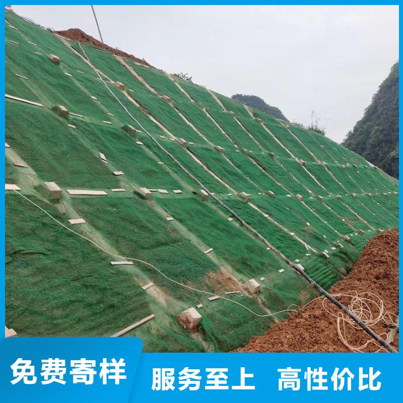 三维植被网_铜止水经销商