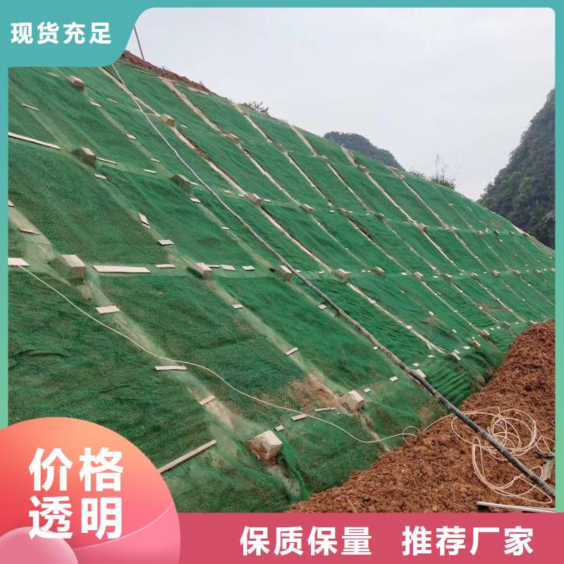 三维植被网沥青木丝板专业品质