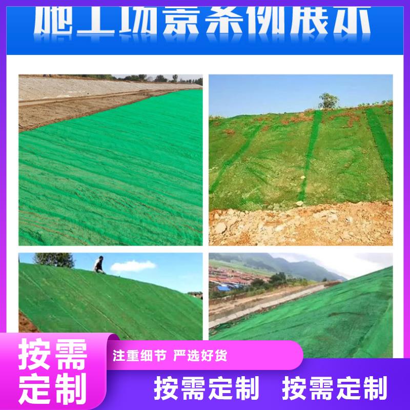 三维植被网止水铜片实力大厂家