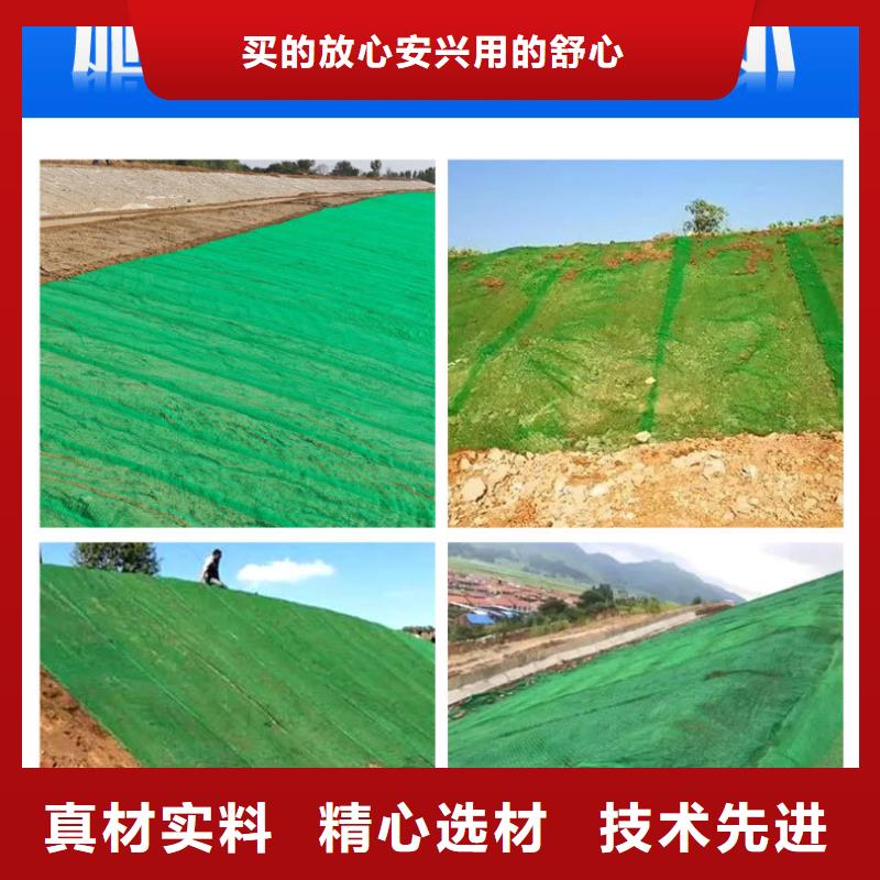 三维植被网_聚乙烯醇纤维厂家市场报价