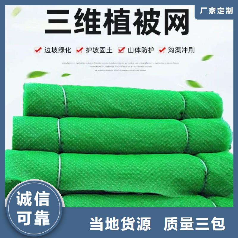 三维植被网土工格栅货源直供