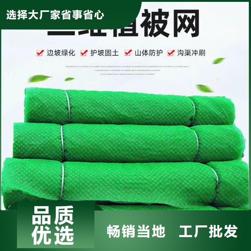 三维植被网土工席垫专业信赖厂家