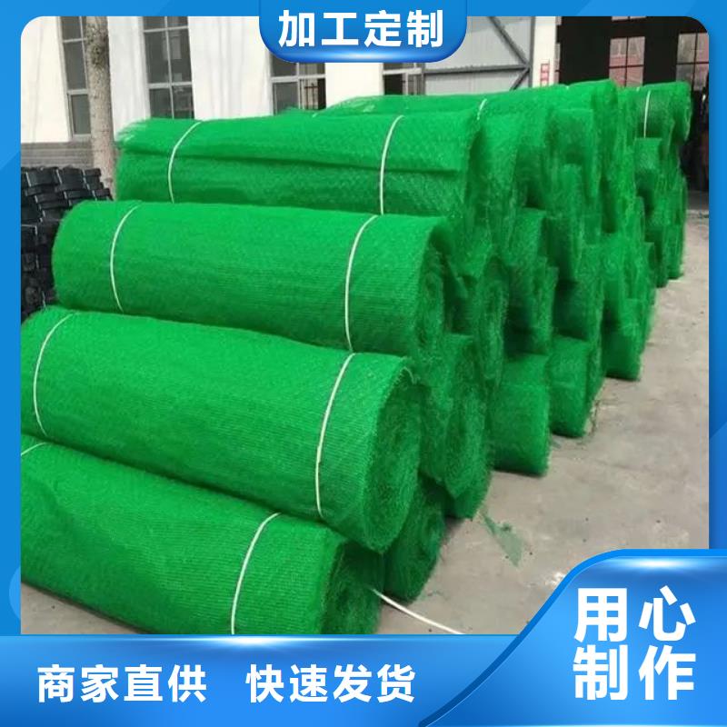 三维植被网_铜片止水超产品在细节
