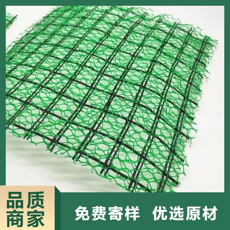 三维植被网【土工席垫】一手货源
