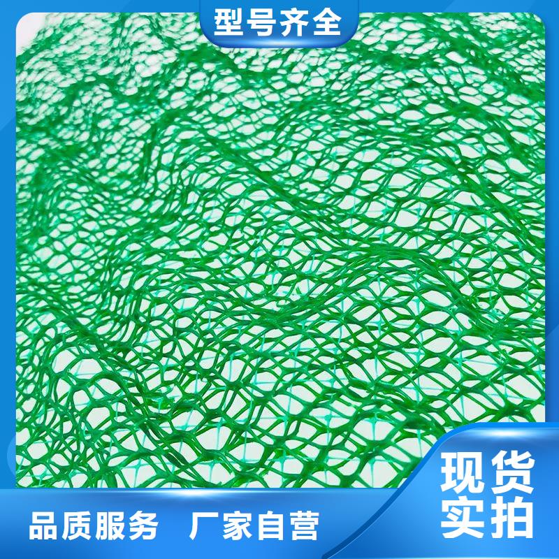 三维植被网【土工席垫】一手货源
