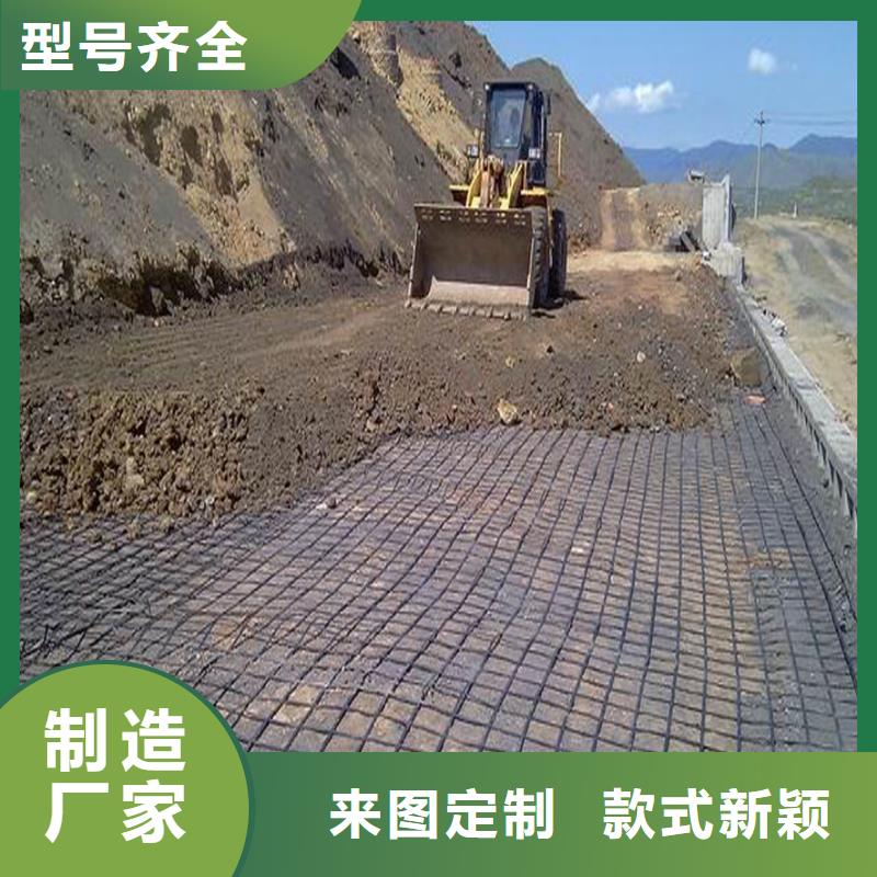 钢塑土工格栅型号种植基地厂家