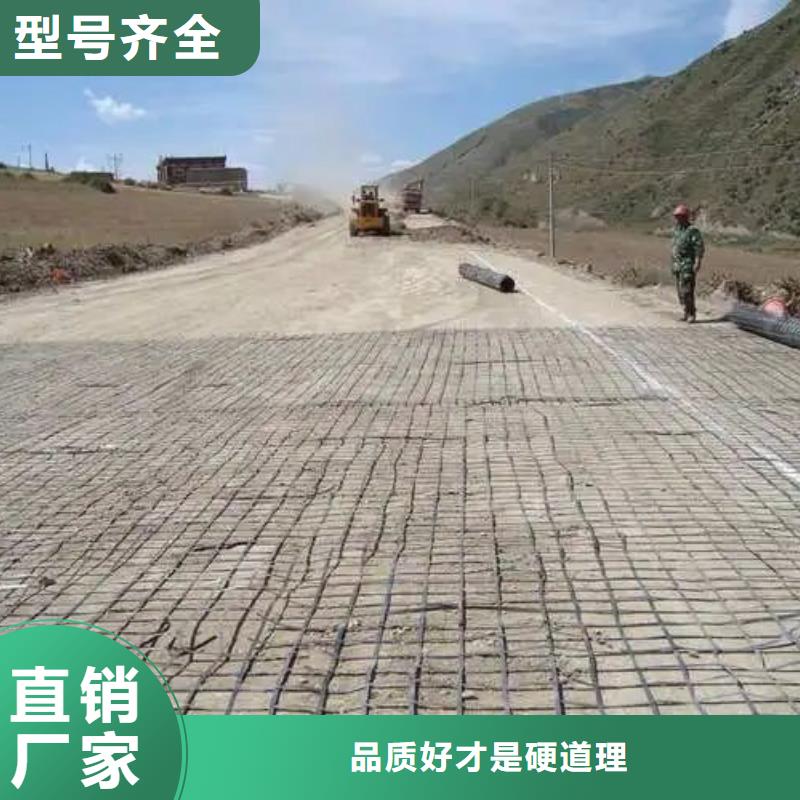 钢塑土工格栅型号种植基地厂家
