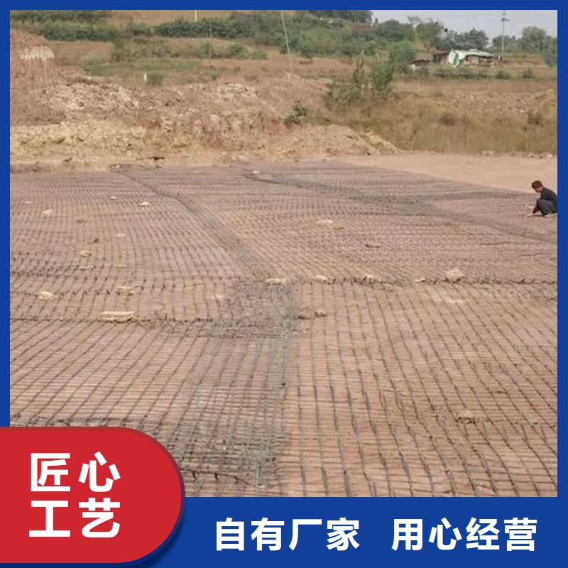 土工格栅规格实力雄厚价格