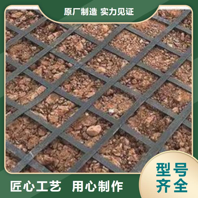 钢塑土工格栅近期行情厂家