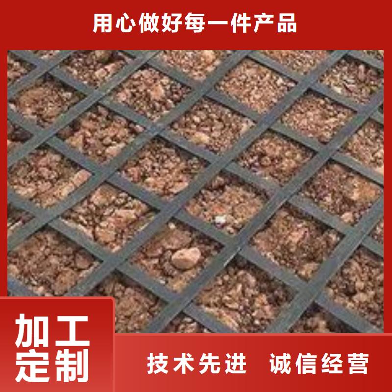 土工格栅欢迎电询电话