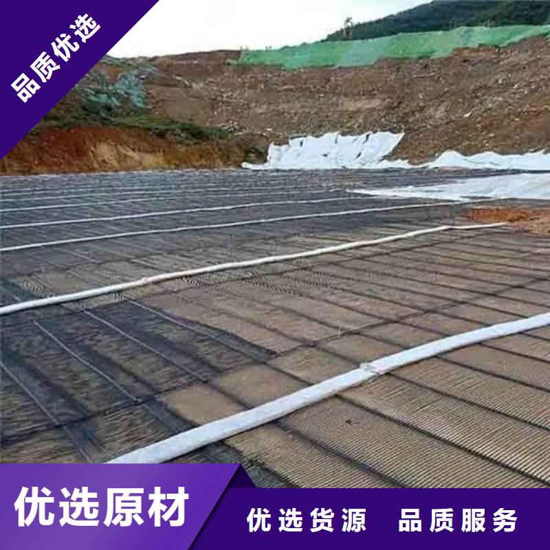 土工格栅图片来电咨询厂家