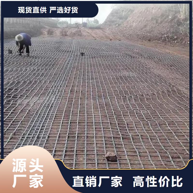 土工格栅工厂直销厂家