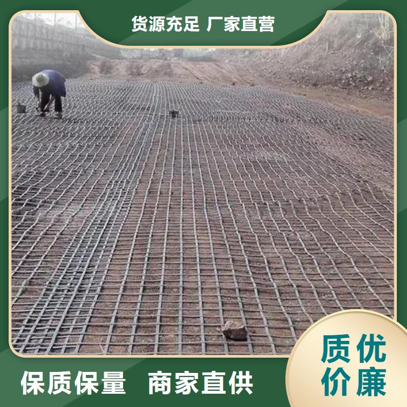 土工格栅紫铜止水片工厂直销